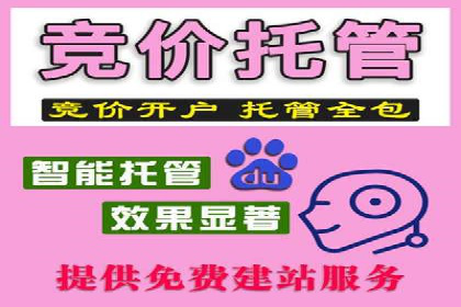 竞价托管助力sem推广：成功案例解析与启示